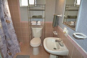 Shower, towels, shampoo, toilet paper