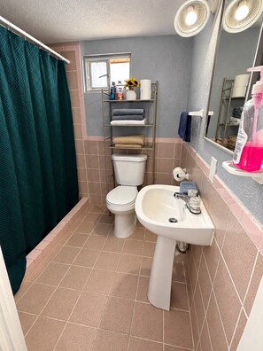 シャワー、タオル、シャンプー、トイレットペーパー