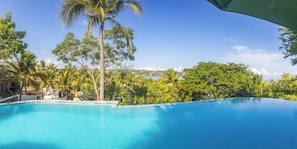 A clear blue swimming pool surrounded by lush greenery and palm trees.