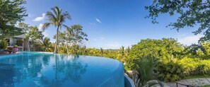 A swimming pool with a curved edge, surrounded by lush greenery and palm trees.