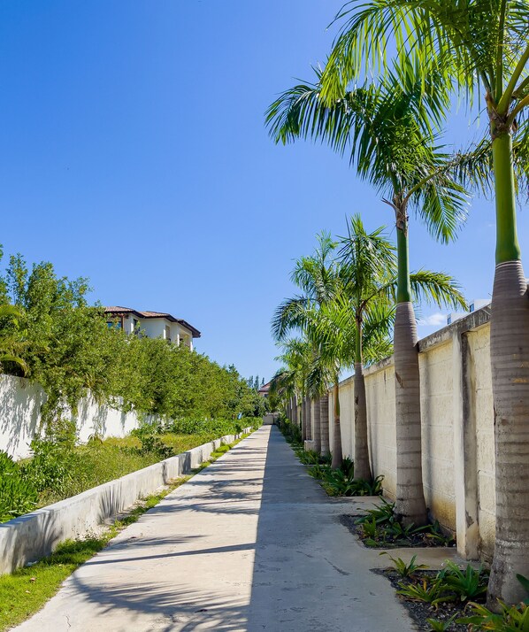 A pathway lined with palm trees and a building with a tiled roof.