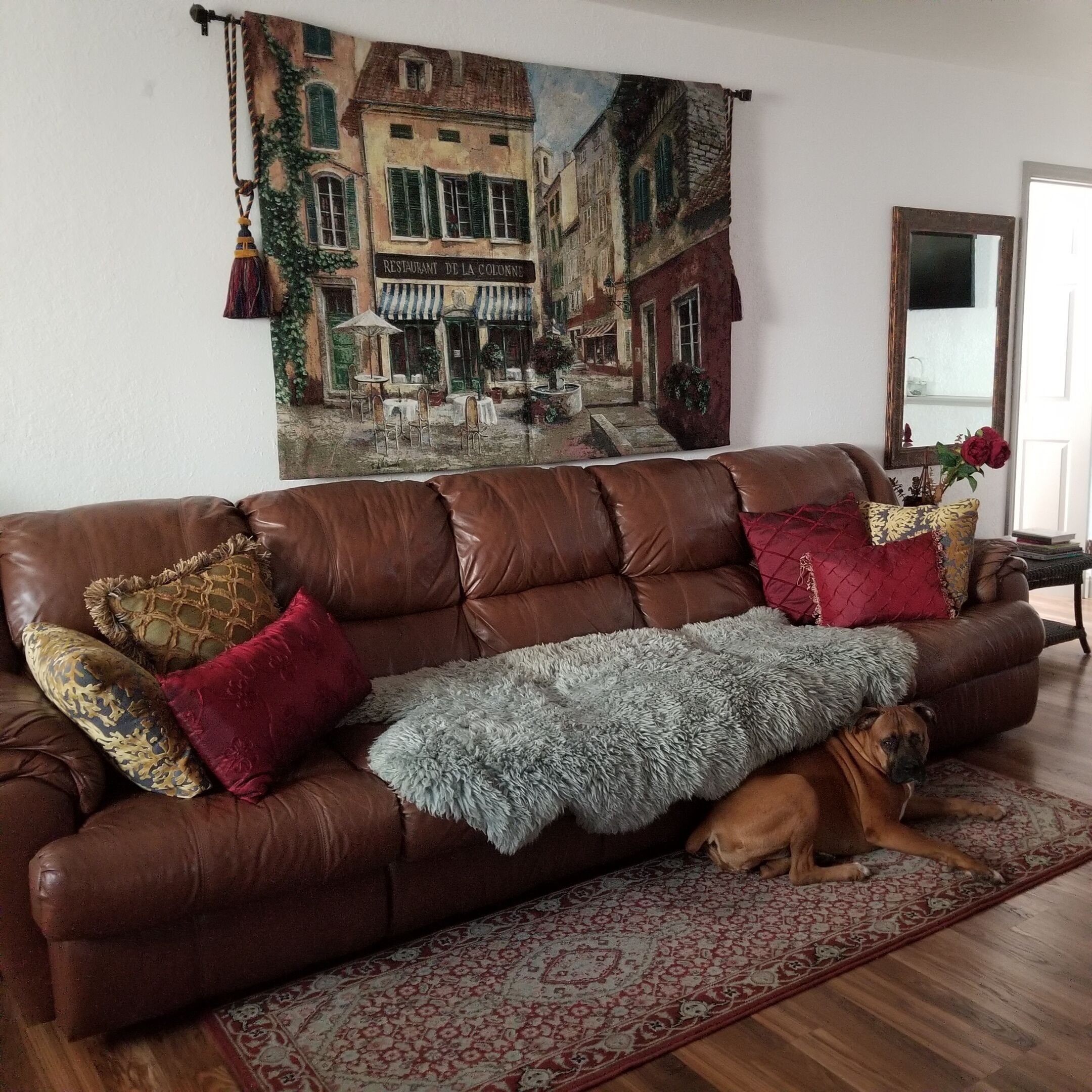 Smart TV, fireplace, DVD player, books