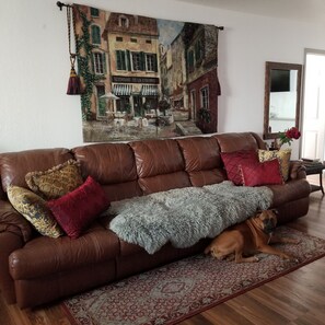 Smart TV, fireplace, DVD player, books