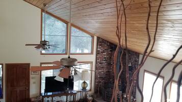 Smart TV, fireplace, DVD player, books