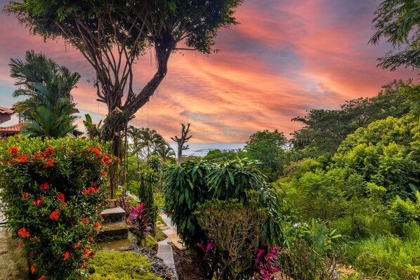 Un jardin luxuriant, avec une grande variété de plantes et un grand arbre.