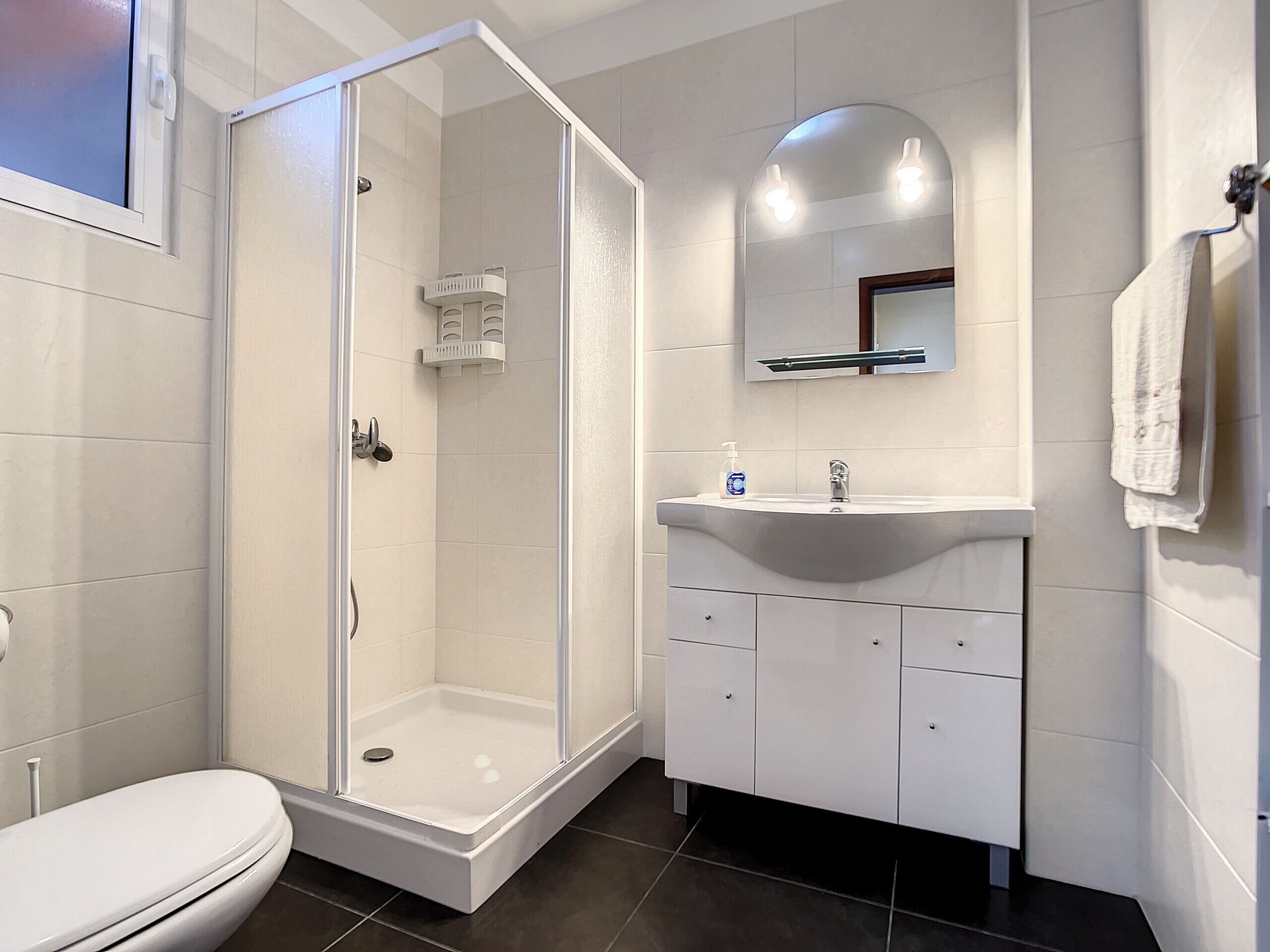 Une salle de bain moderne avec une douche à parois de verre, un lavabo blanc avec un miroir au-dessus et des toilettes.