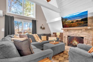 Smart TV, fireplace, video games, books