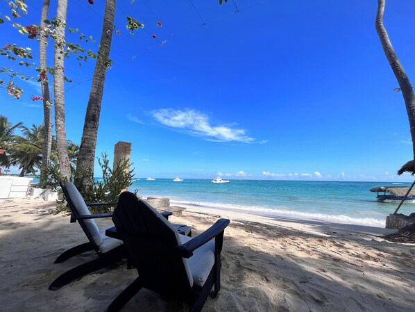 A beach with a chair, palm trees, and a clear view of the ocean.