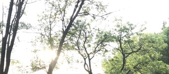 Gorgeous Historic Farmhouse w Hot Tub & Hiking Trails