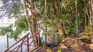 Una terraza de madera con barandilla metálica que conduce a un muelle sobre el agua, rodeada de exuberante follaje tropical.