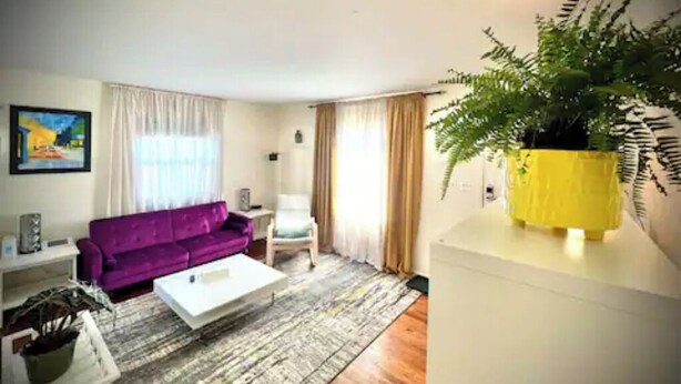 A living room with a purple sofa, white coffee table, and a large plant.