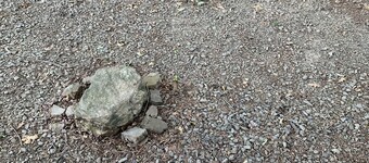 Quaint cabin in the heart of the Ozark Mountains.