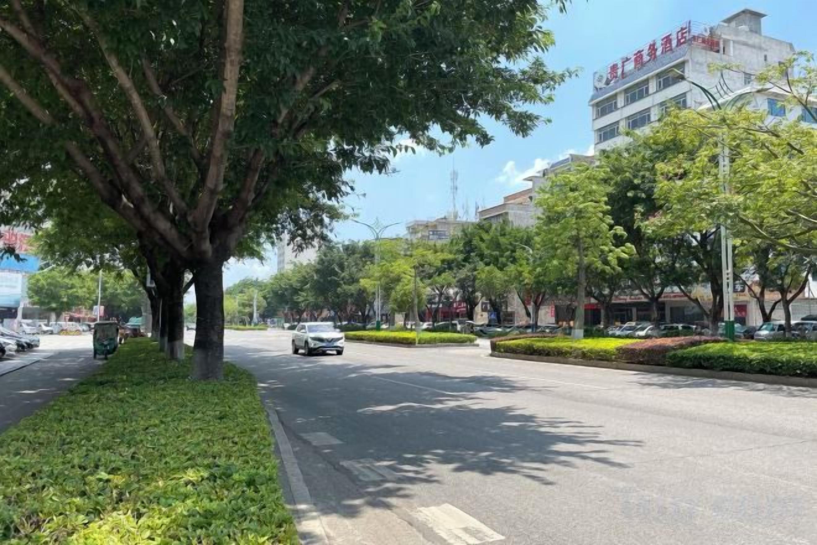 Une rue bordée d’arbres, avec des immeubles et des voitures garées.