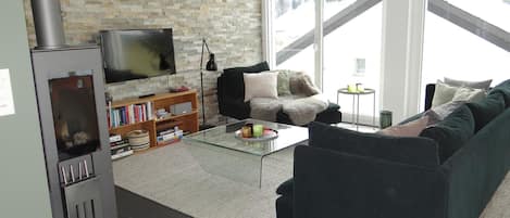 TV, fireplace, DVD player