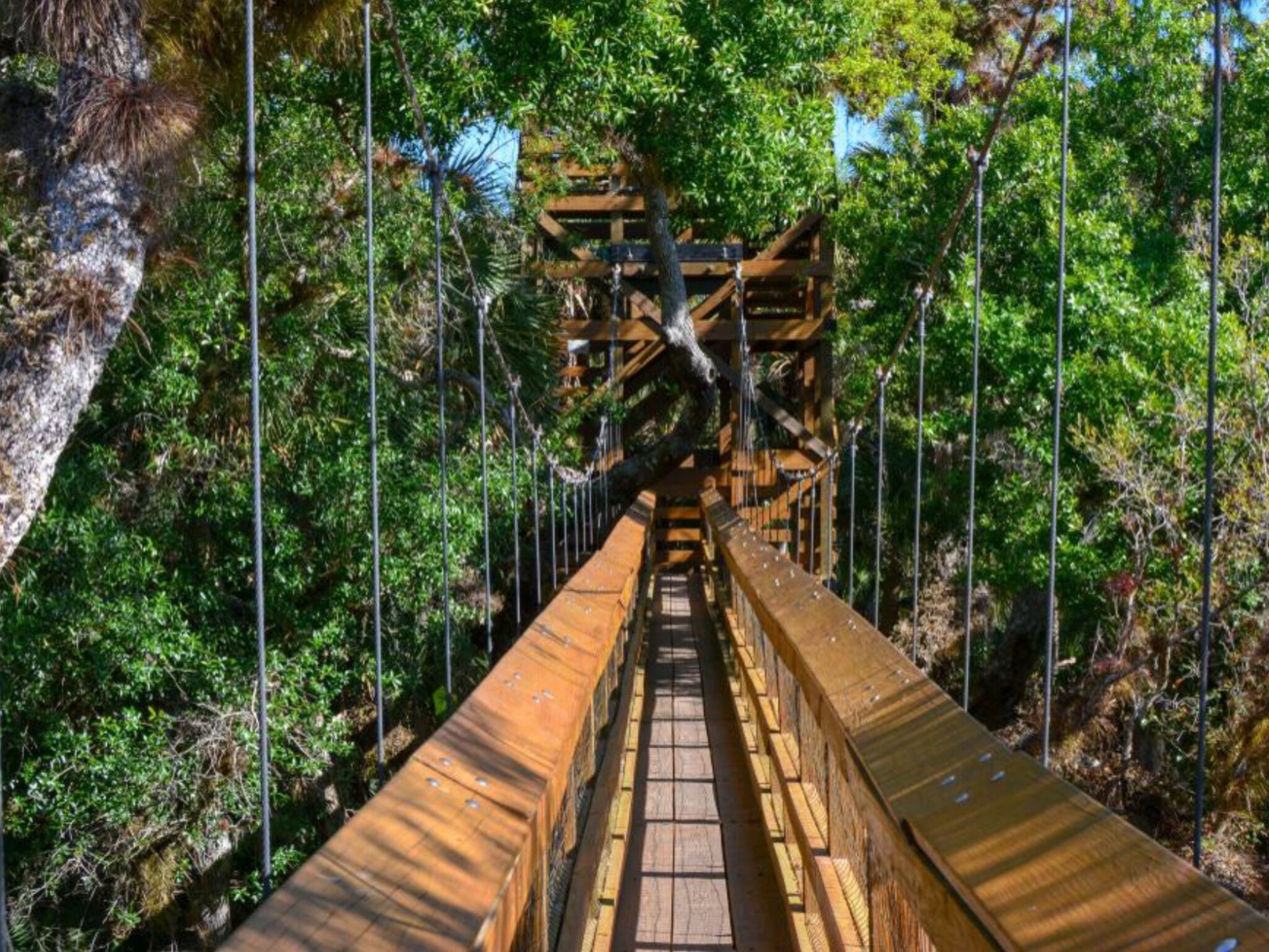 A wooden suspension bridge with a central walkway surrounded by dense foliage.
