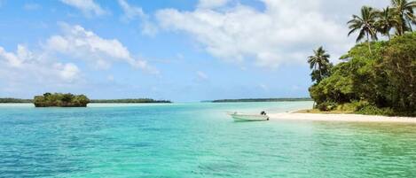 ビーチの近く、サンラウンジャー、ビーチタオル