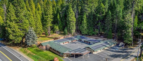 A building with a green roof and solar panels, surrounded by a forest.