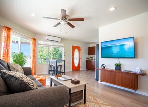 Smart TV, books, computer monitors