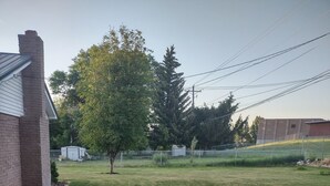 Un césped con un árbol, un edificio de ladrillo y una valla.