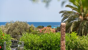 Un jardin situé sur la côte, avec une porte, des palmiers et une vue sur la mer.