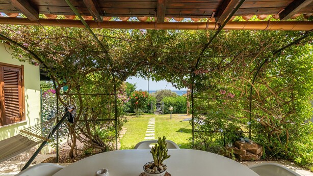 Une terrasse couverte avec une table, un pot de fleurs et une vue sur un jardin et un sentier.