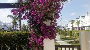 A residential area with white buildings, a pathway, and a flowering tree.