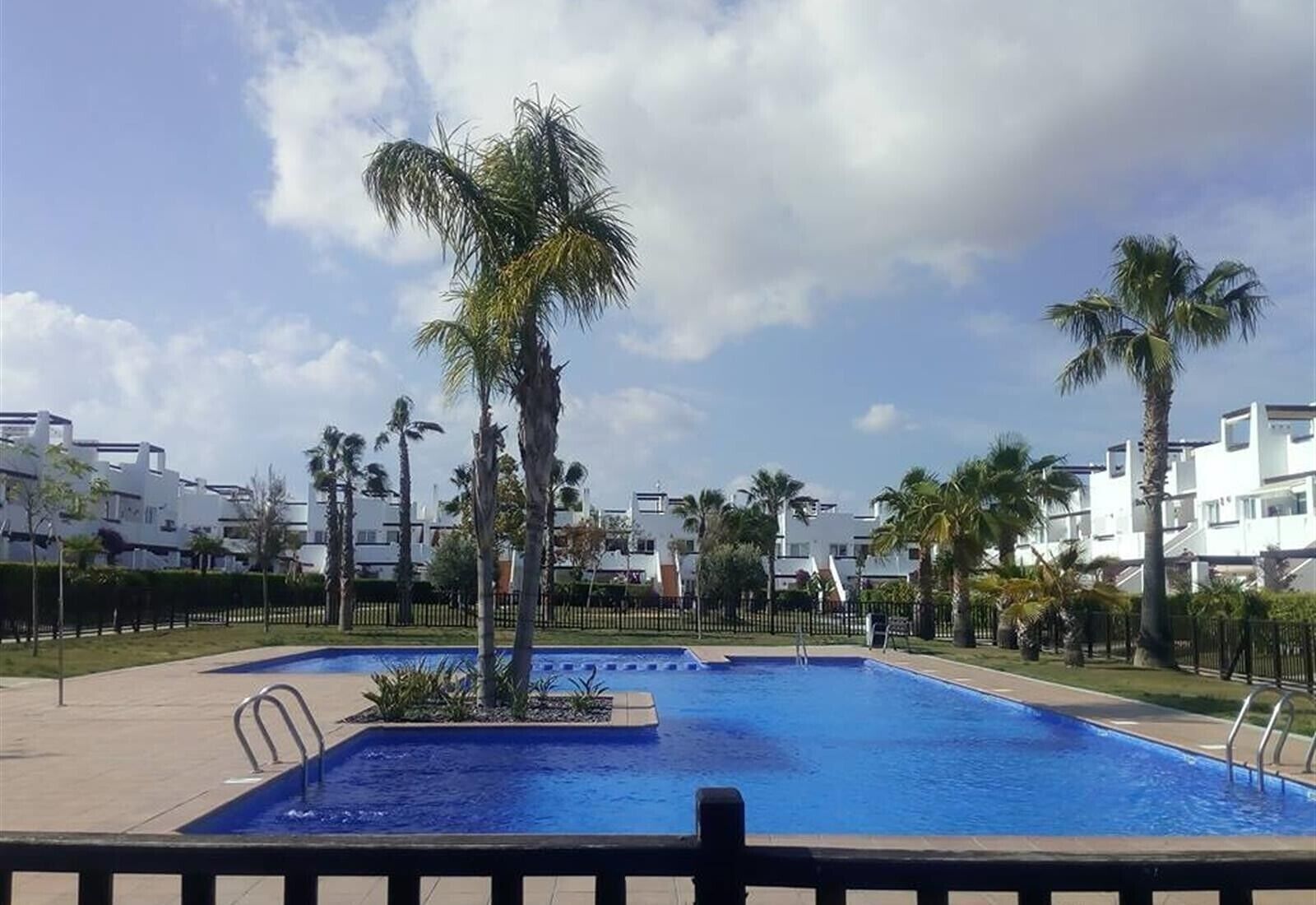 Piscina cercada por palmeiras e edifícios modernos.