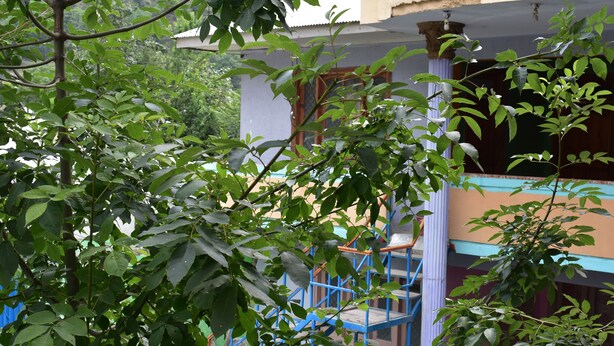 Un edificio con balcón y un árbol al frente.