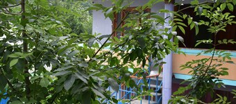 Mid Valley Guest House