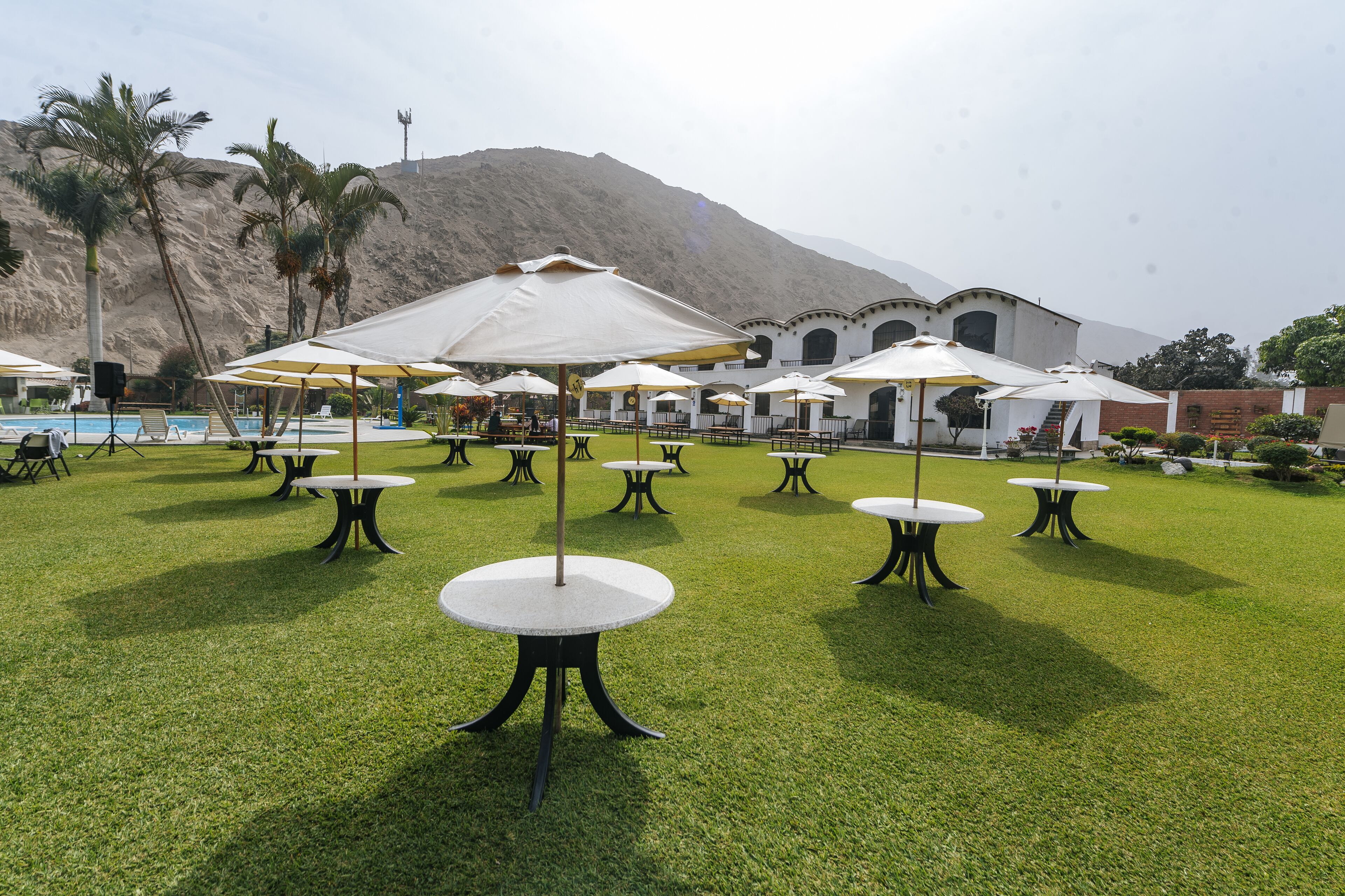 A courtyard with outdoor tables and umbrellas, palm trees, and a mountain in the background.