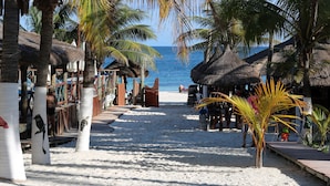 A beachside walkway lined with palm trees and thatched-roof structures, leading to a sandy beach. - The Diving Lodge Downtown (Puerto Morelos)