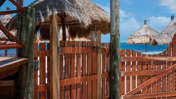 A wooden deck leading to a thatched-roof structure with a view of the ocean. - The Diving Lodge Downtown (Puerto Morelos)