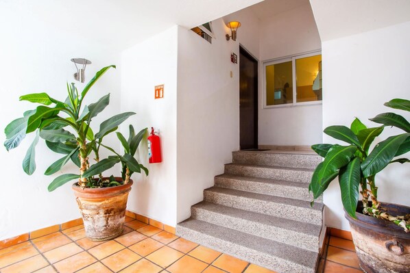 Una escalera conduce a un piso superior, bordeada por macetas con plantas y un extintor en la pared.