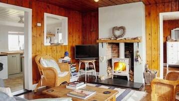 Fernseher, Kamin