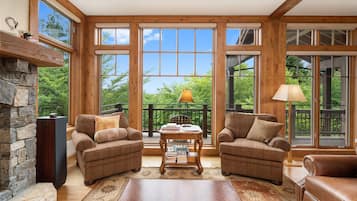 TV, fireplace, books, music library