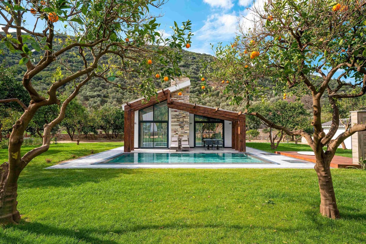 Ein modernes Haus mit Schwimmbad, umgeben von üppiger Vegetation und Bäumen.
