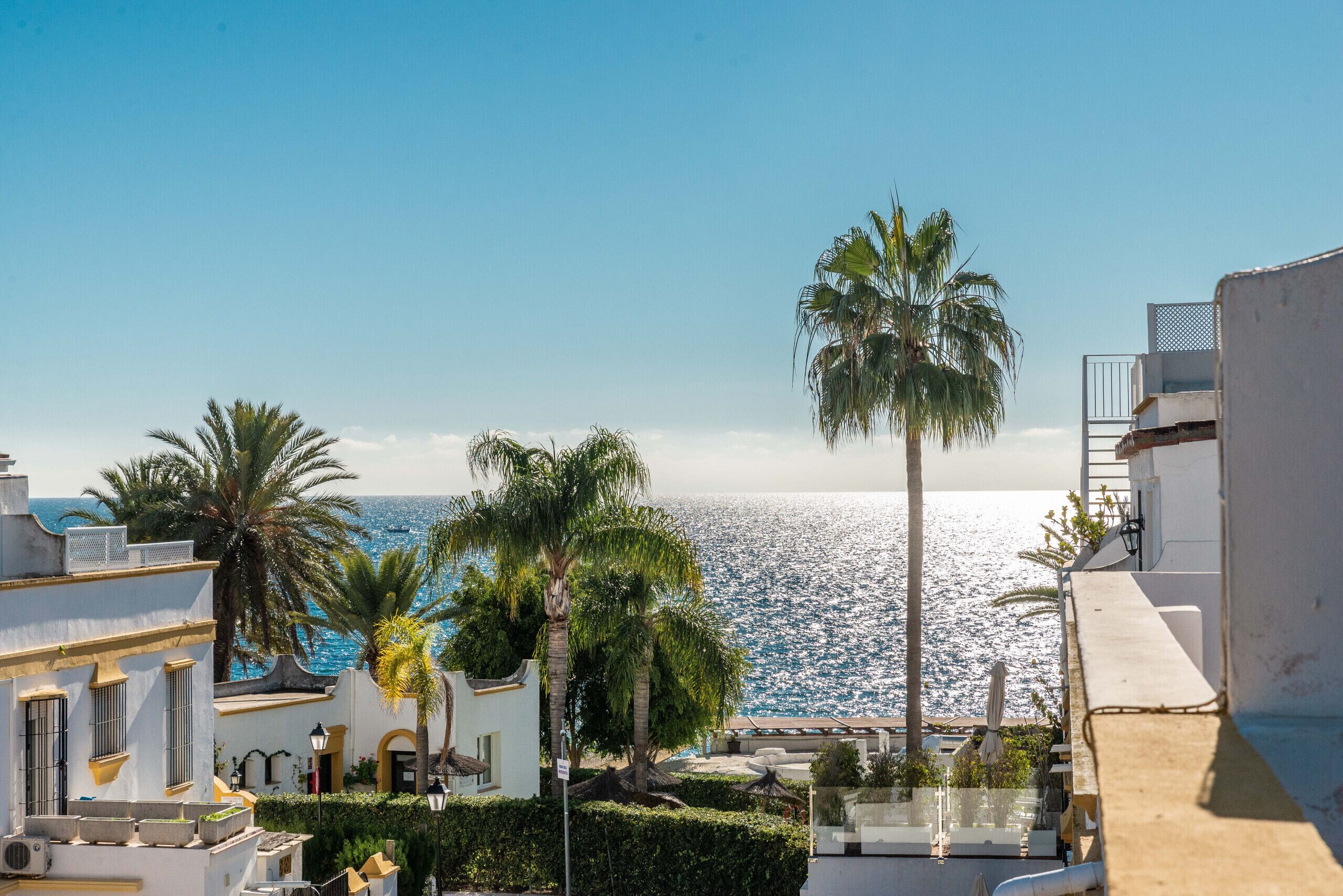 Ein Küstenhotel mit Meerblick, Palmen und einem Balkon mit Liegestühlen.