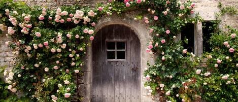 Details aan de buitenkant