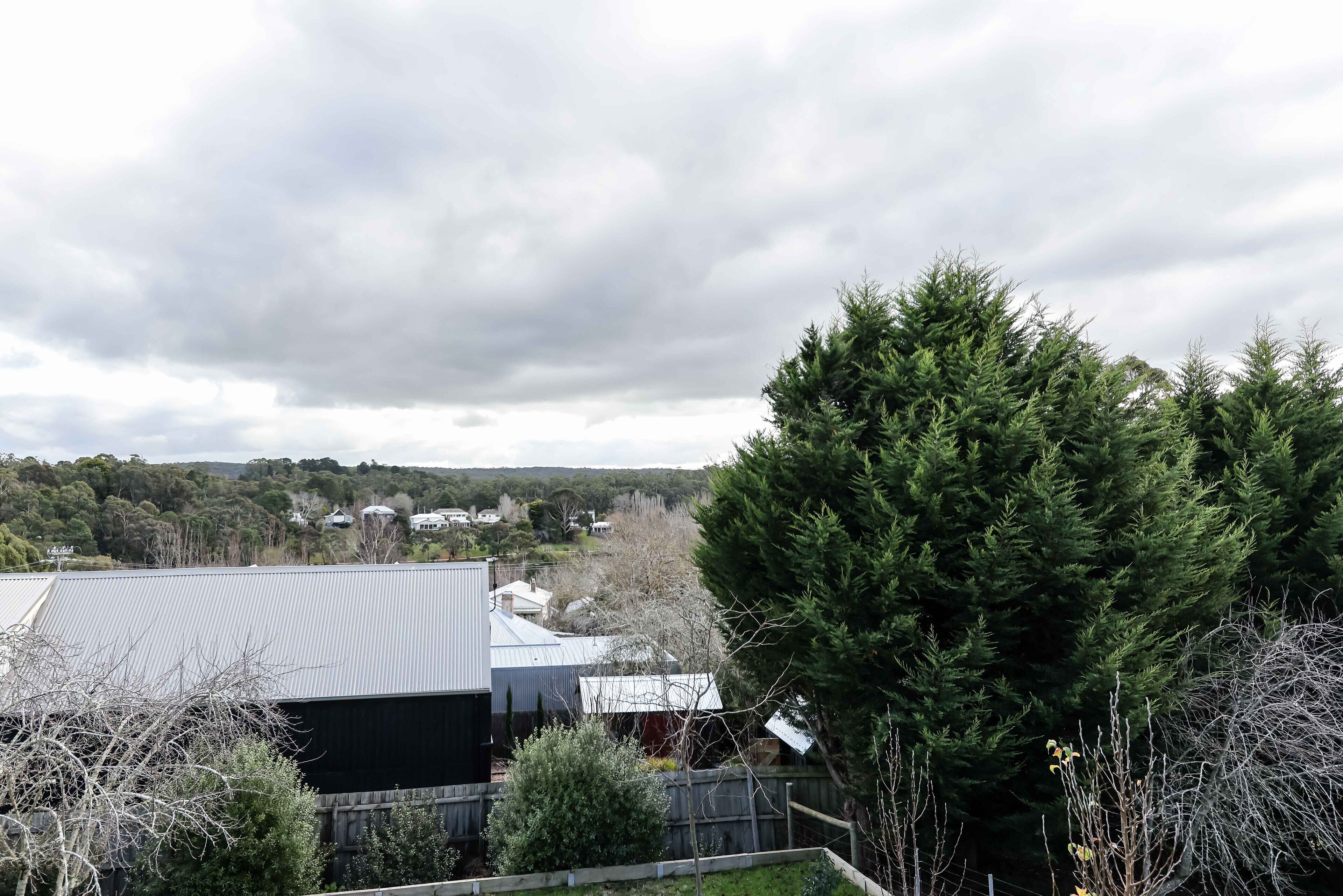 A residential area with houses, a large coniferous tree, and a metal-roofed building.