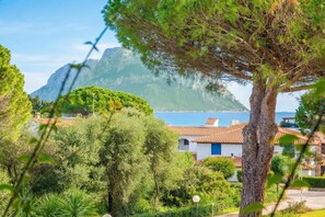 Terrain de l’hébergement 