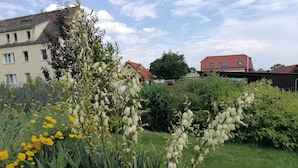 Een tuin met diverse planten en bloemen, waaronder gele calendula's en witte bloemen, met gebouwen op de achtergrond.