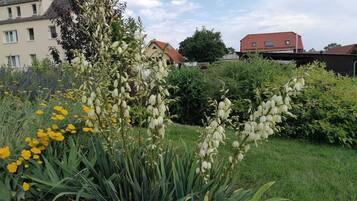 DĂ©tail de lâextĂ©rieur