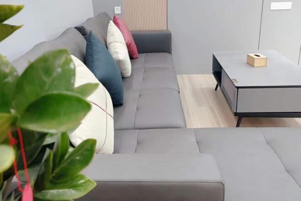 Ein modernes Wohnzimmer mit einem grauen Sofa, einem kleinen Tisch und einer Pflanze.