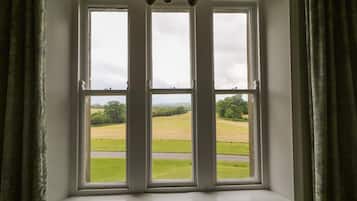 A window with a view of a green field and a road.