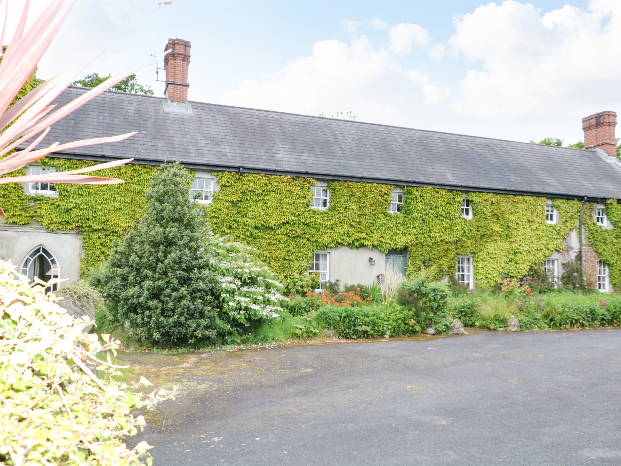 A building with ivy-covered walls, a paved driveway, and a small tree in the foreground.