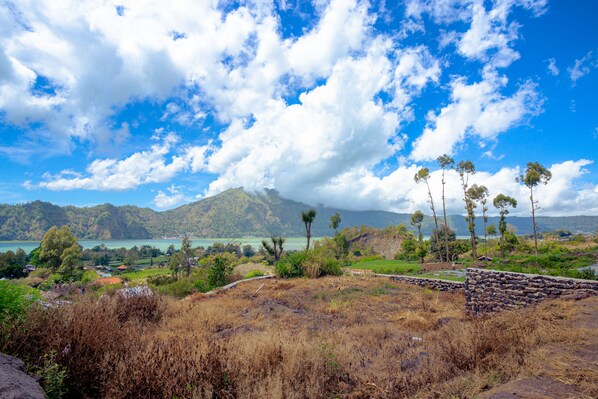 A landscape with a stone wall, trees, and a distant mountain. - Segara Camp Kintamani (Kintamani)