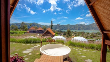 Deluxe Room | View from room