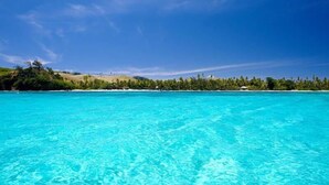 A clear turquoise sea with a sandy beach and green vegetation in the background. - Nabua Lodge Hidden Getaway (Nacula Island)