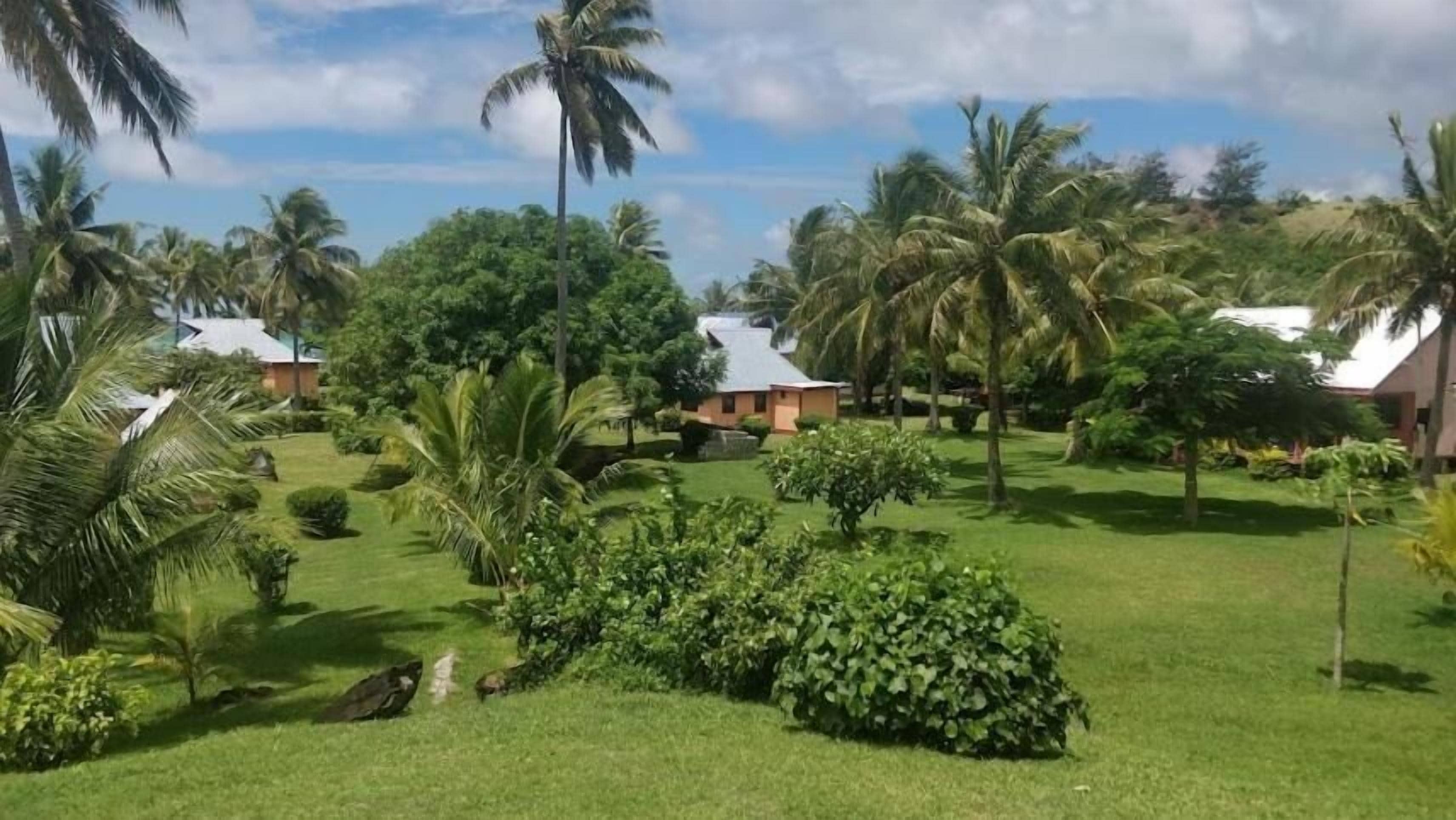 A tropical garden with palm trees, a well-maintained lawn, and a small building with a red roof.