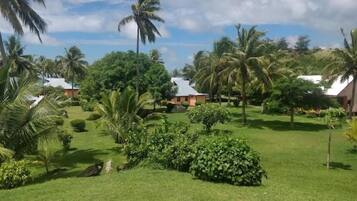 A tropical garden with palm trees, a well-maintained lawn, and a small building with a red roof.